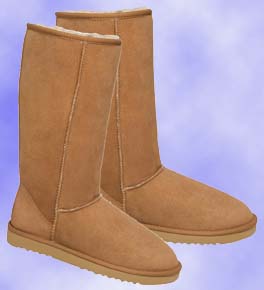 Ugg Footwear
